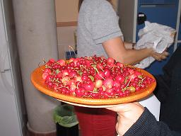 Frutero con cerezas silvestres